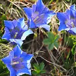 Διαμέρισμα Naturhaus Andrea *