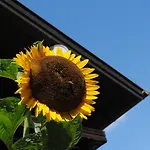Naturhaus Andrea *