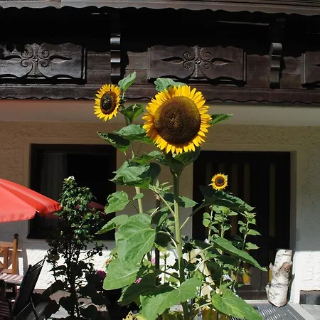 Appartement Naturhaus Andrea *