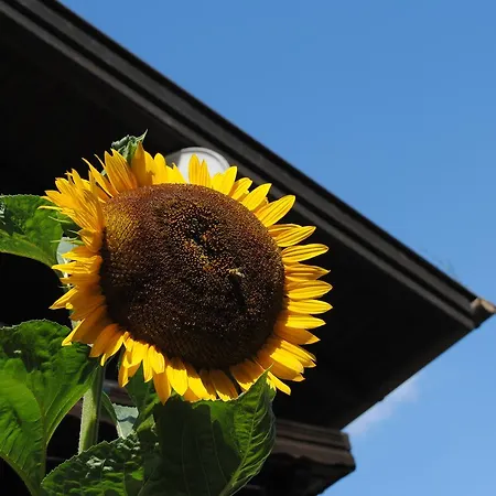 Naturhaus Andrea *