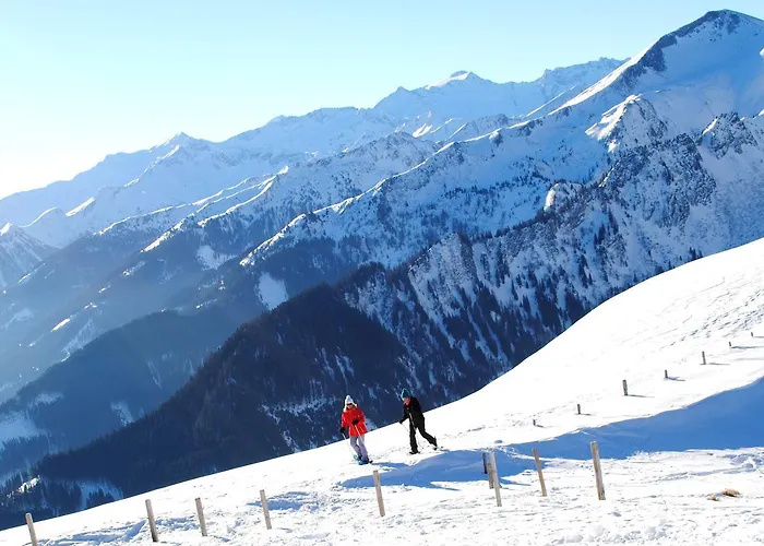 公寓 Naturhaus Andrea 格罗萨尔