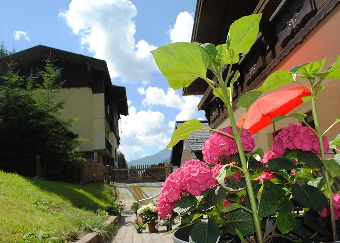 Naturhaus Andrea Apartament