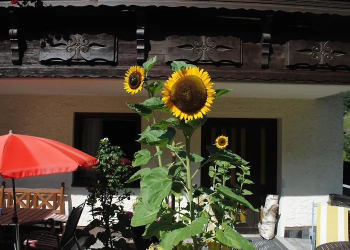 公寓 Naturhaus Andrea *