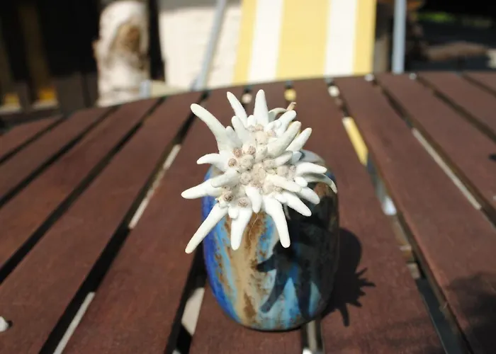 公寓 Naturhaus Andrea 格罗萨尔