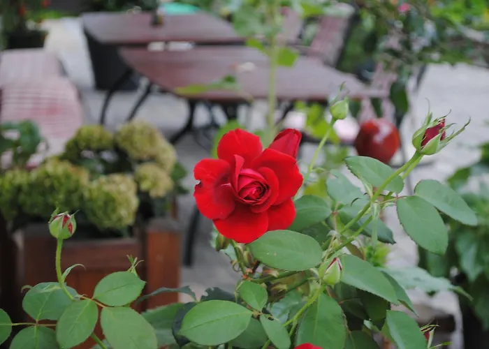 公寓 Naturhaus Andrea